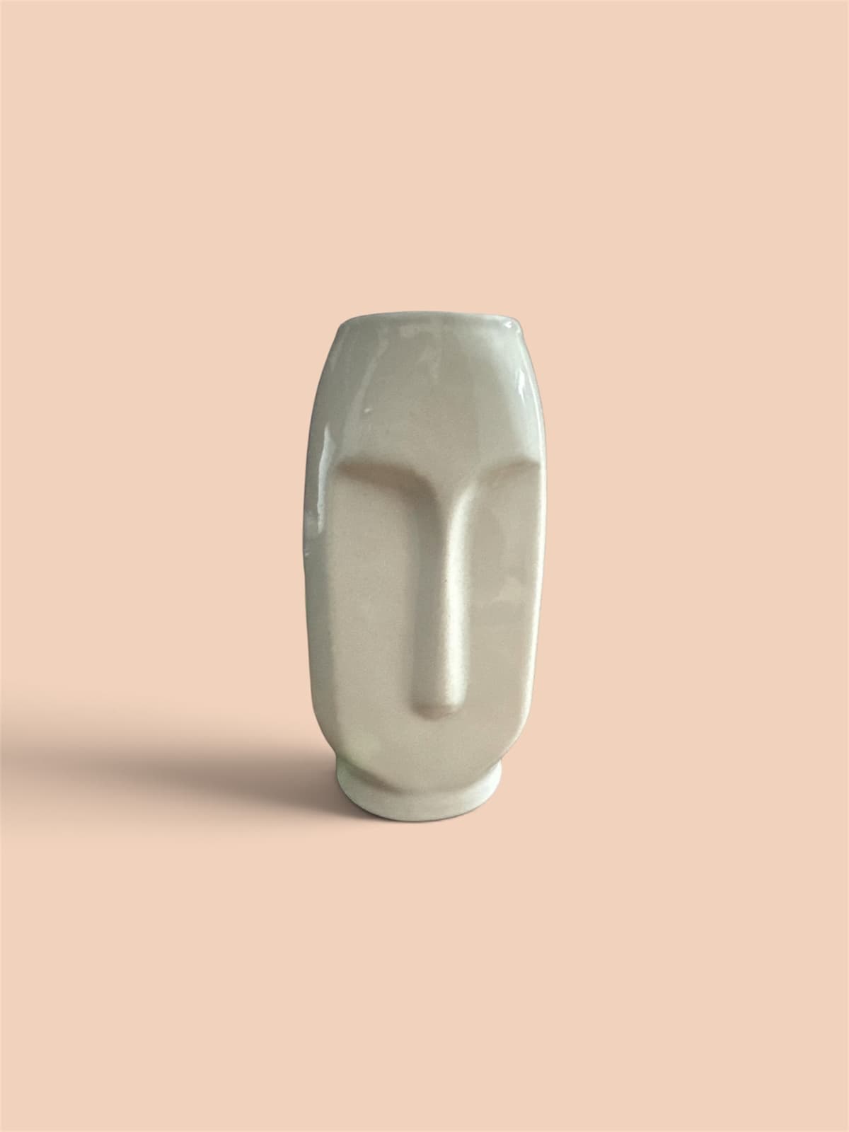 Face Vase